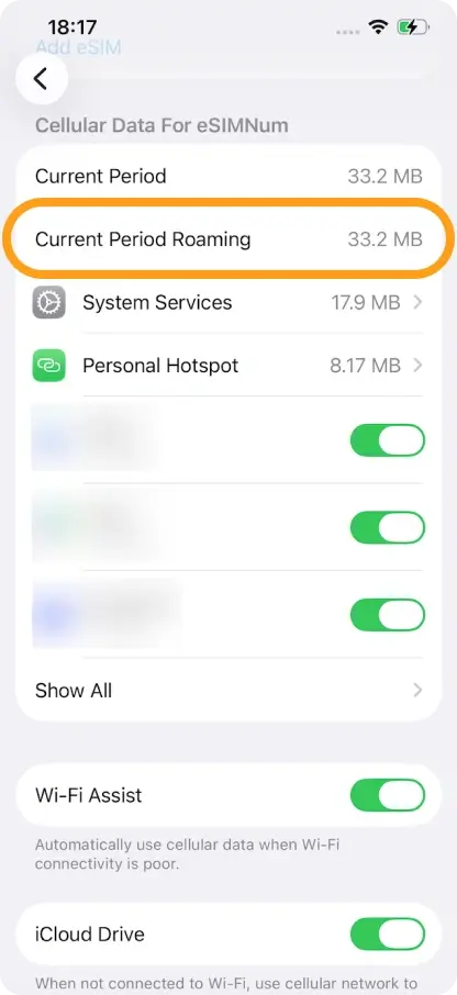 Check Current Period Roaming