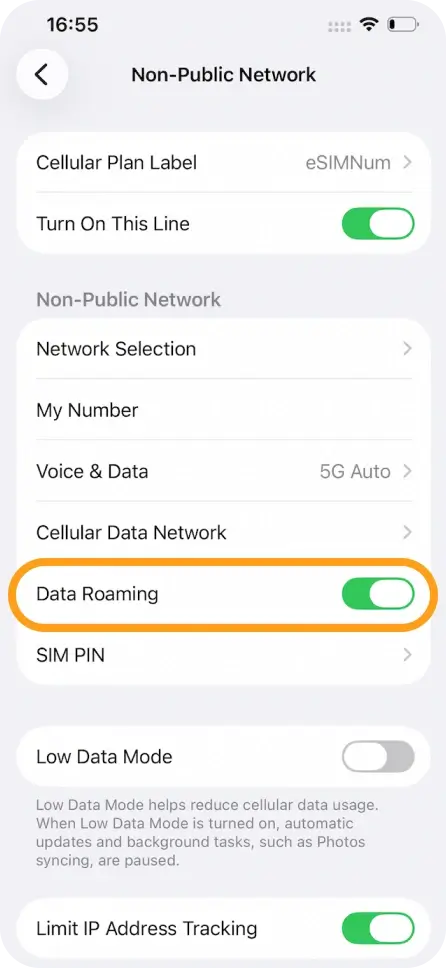 Enable Data Roaming