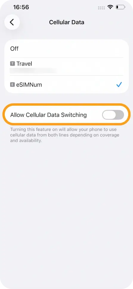 Turn Allow Cellular Data Switching OFF