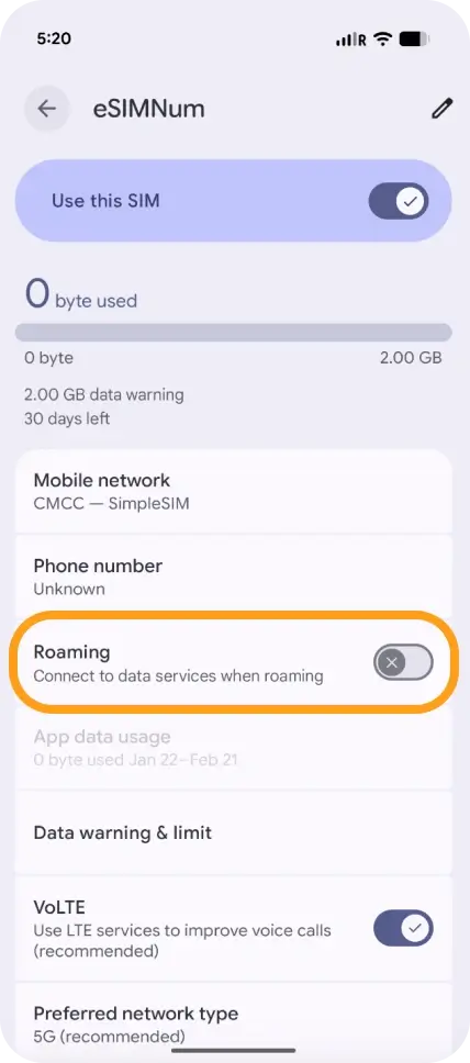 Enable Data Roaming